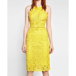 Zara Lace Yellow High Neck Midi Dress